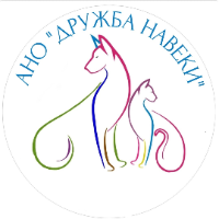 Изображение профиля для АНО ДРУЖБА НАВЕКИ