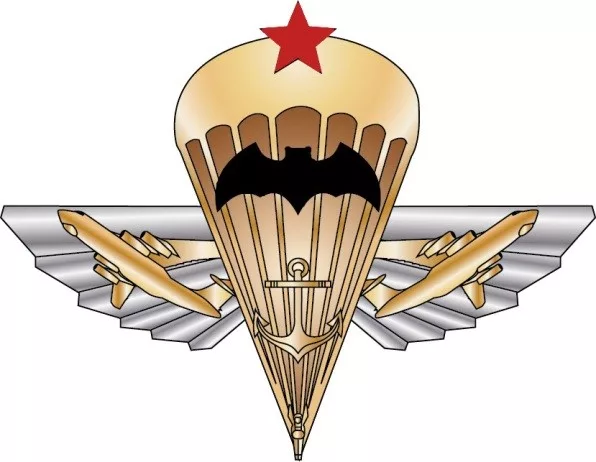 вдв.webp