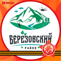 org-icon