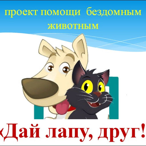 Картинка дай лапу друг