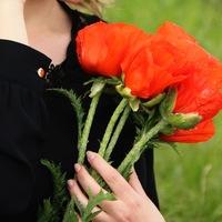 1e587cf8c7ca42038182e419b6257e91.jpgava1