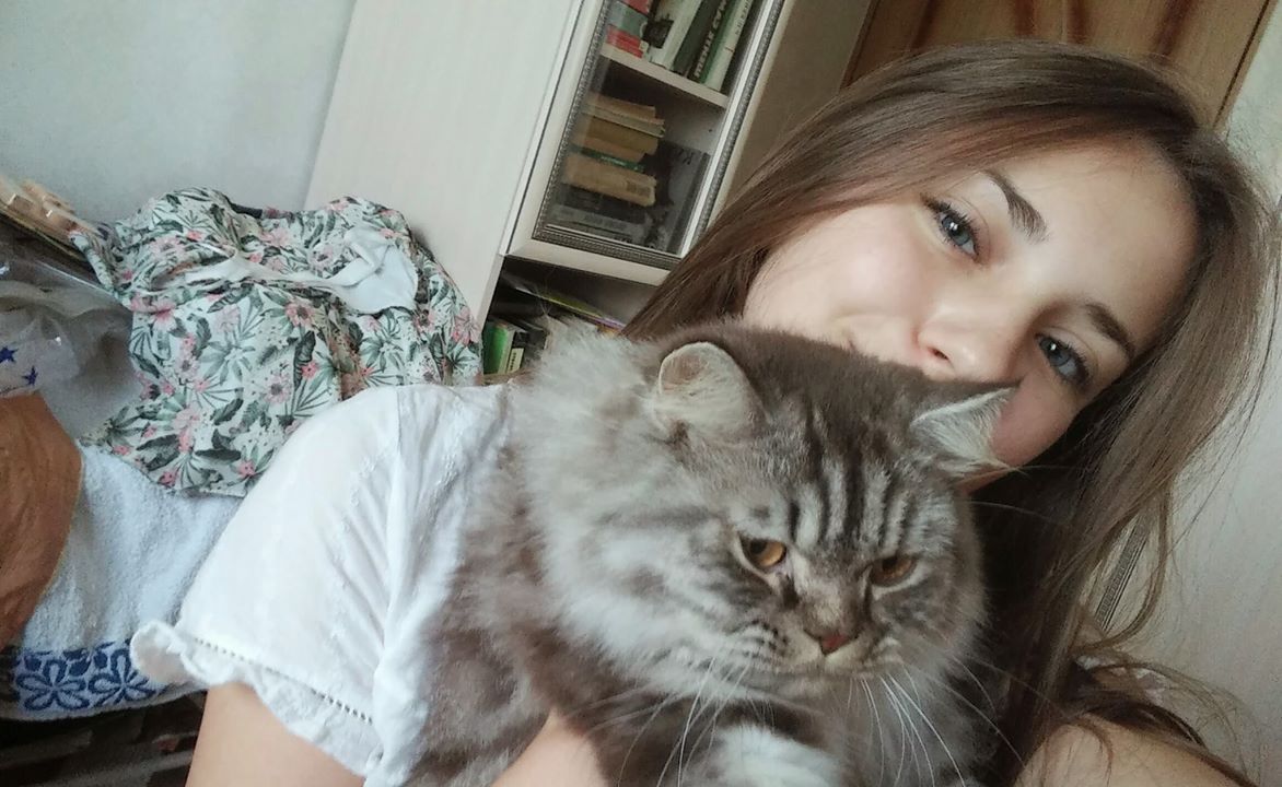 40deb7cc01ca400aac0a493973ea2390