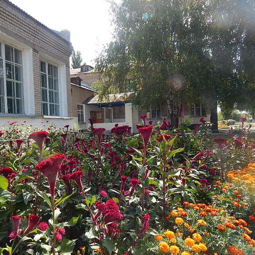 university__photo