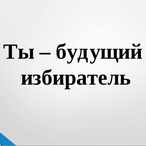 Интеллектуально-творческий конкурс среди команд Клубов будущих избирателей школ Сеймского округа города Курска всё в твоих руках