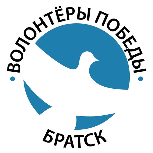 Проекты волонтеры победы