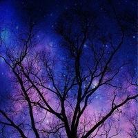 61b5edef2fae49db9add41cdd643b732.jpgava1