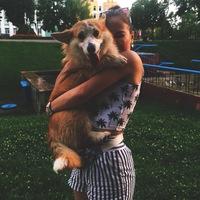 7f4b9d59451c43149d00db1829f8c7e9.jpgava1