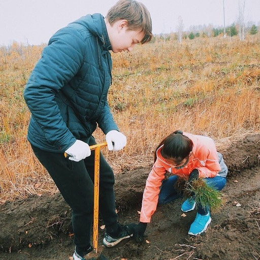 Эколого патриотический проект лес победы