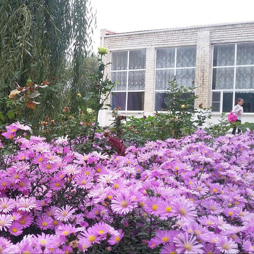 university__photo