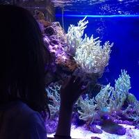 bce09cb92750489aa095fe7d3f967045.jpgava1