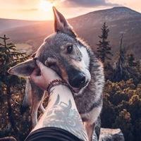 Аватар