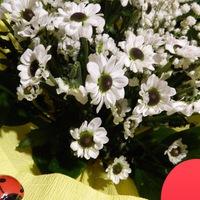 d93bfdca4f964f088b609b196d71353c.jpgava1