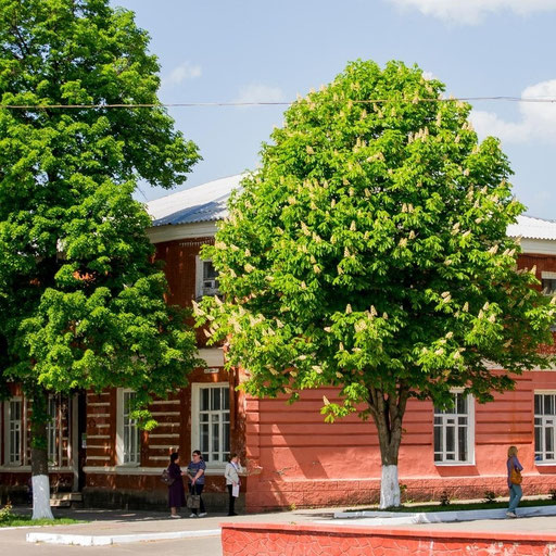 university__photo