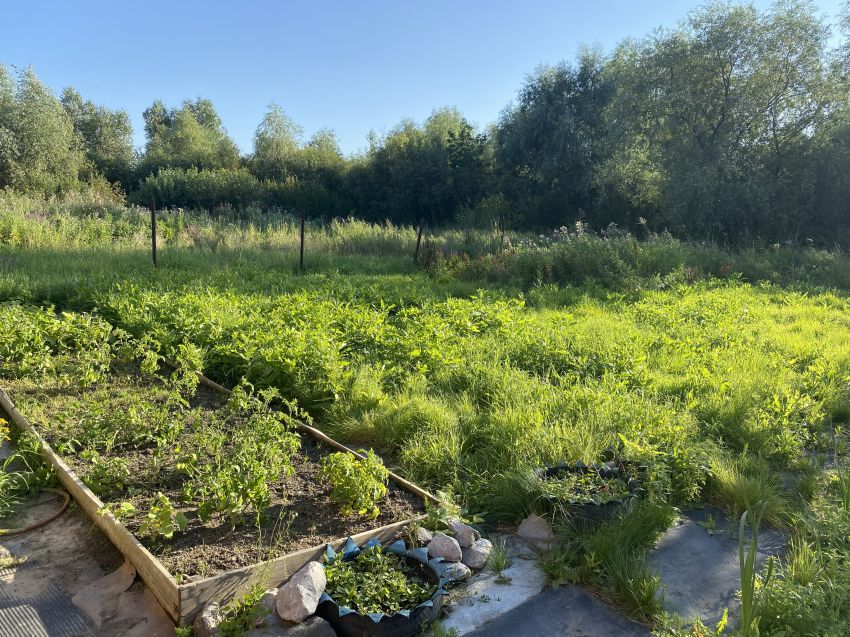 Продажа дачи, 48м <sup>2</sup>, 6 сот., Курган, СНТ Зауралец