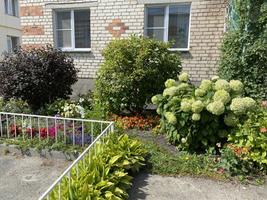 Продажа 1-комнатной квартиры, Кетово, Северная улица,  10