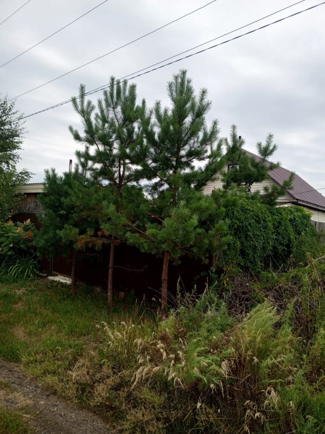 Продажа дома, 47м <sup>2</sup>, 7 сот., Курган, СНТ Поле чудес