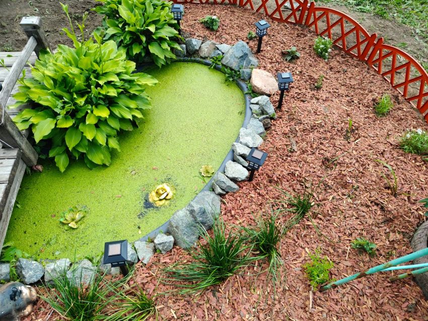 Продажа дачи, 40м <sup>2</sup>, 6 сот., Курган, СНТ Золотая нива