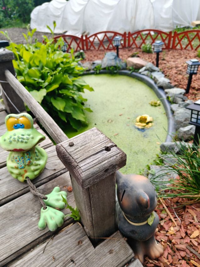 Продажа дачи, 40м <sup>2</sup>, 6 сот., Курган, СНТ Золотая нива