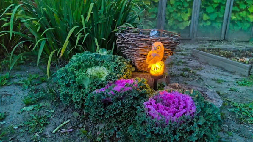 Продажа дачи, 40м <sup>2</sup>, 6 сот., Курган, СНТ Золотая нива