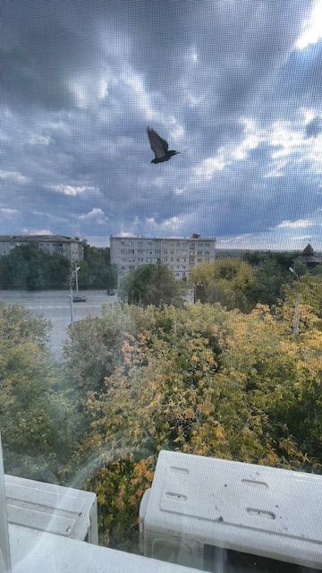 Продажа 2-комнатной квартиры, Курган, Конституции проспект,  45