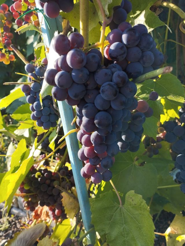 Продажа дома, 60м <sup>2</sup>, 3 сот., Курган, Донского улица