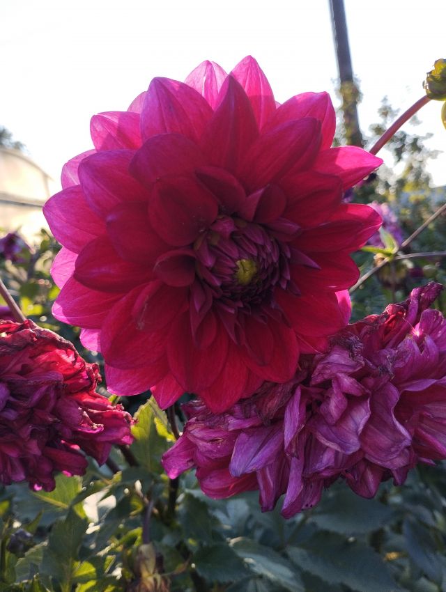 Продажа дома, 59м <sup>2</sup>, 8 сот., Курган, Лесная улица