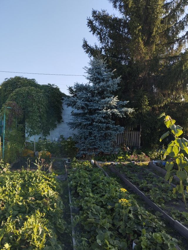 Продажа дома, 59м <sup>2</sup>, 8 сот., Курган, Лесная улица