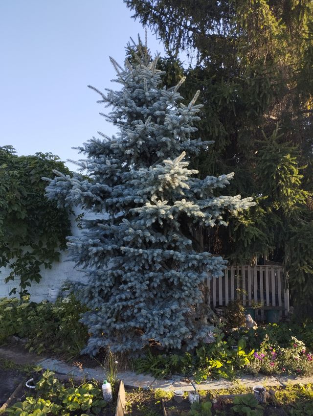 Продажа дома, 59м <sup>2</sup>, 8 сот., Курган, Лесная улица