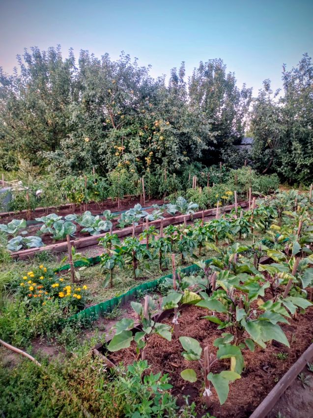 Продажа дома, 76м <sup>2</sup>, 11 сот., Курган, Новая улица,  21