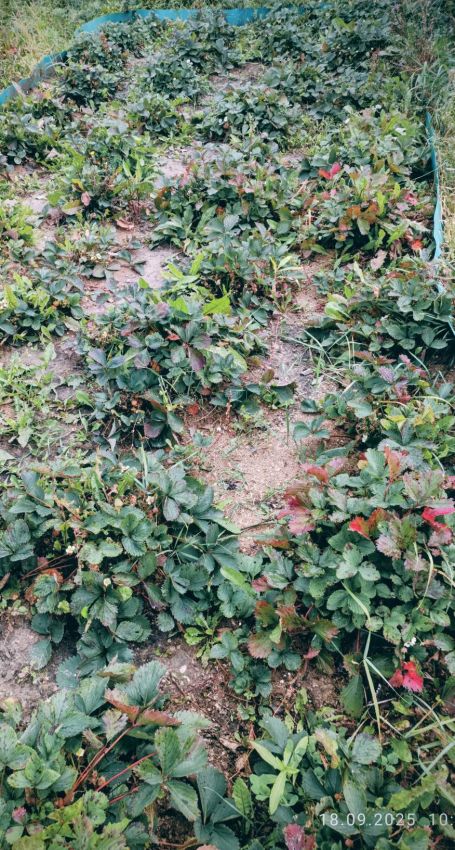 Продажа дома, 76м <sup>2</sup>, 11 сот., Курган, Новая улица,  21