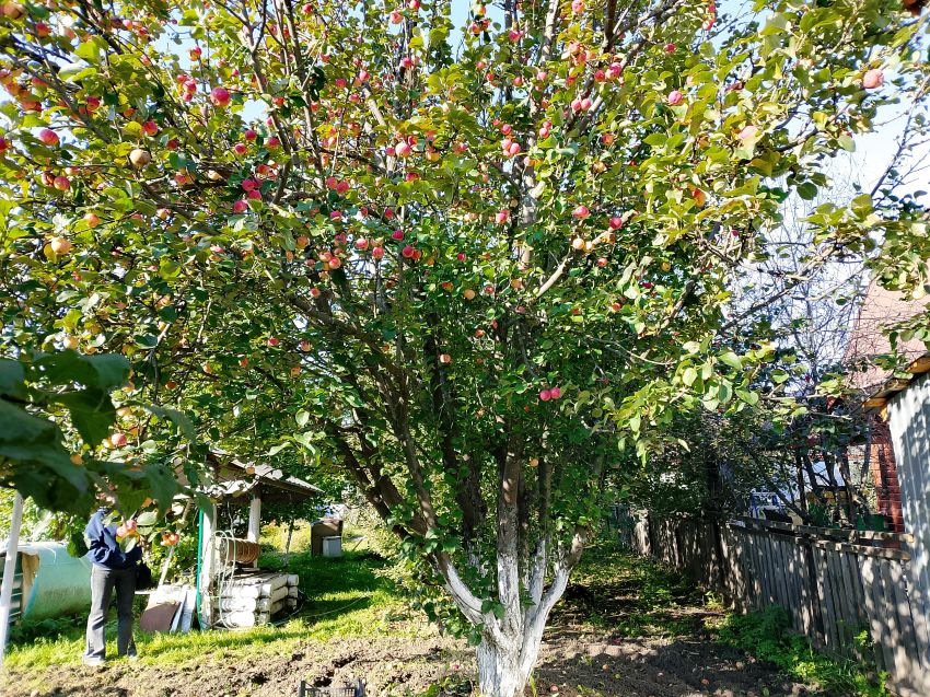 Продажа дачи, 20м <sup>2</sup>, 6 сот., Курган, СНТ Волна