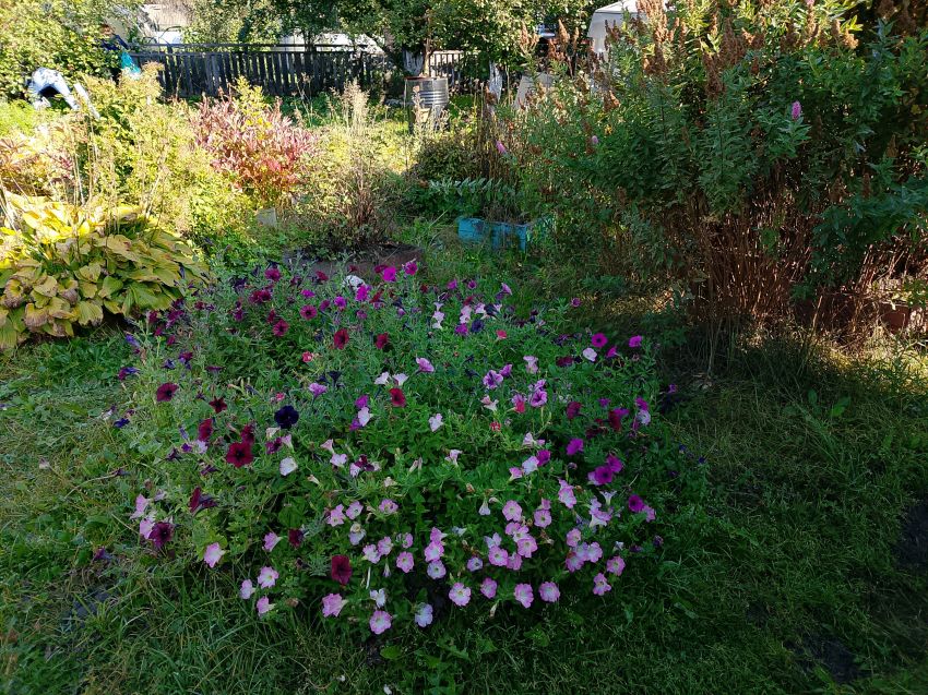 Продажа дачи, 20м <sup>2</sup>, 6 сот., Курган, СНТ Волна