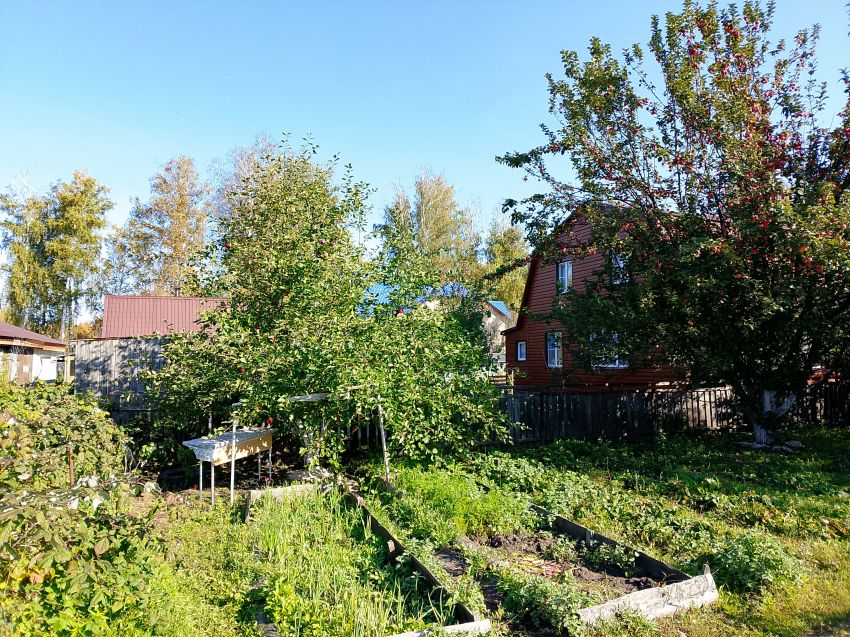 Продажа дачи, 20м <sup>2</sup>, 6 сот., Курган, СНТ Волна