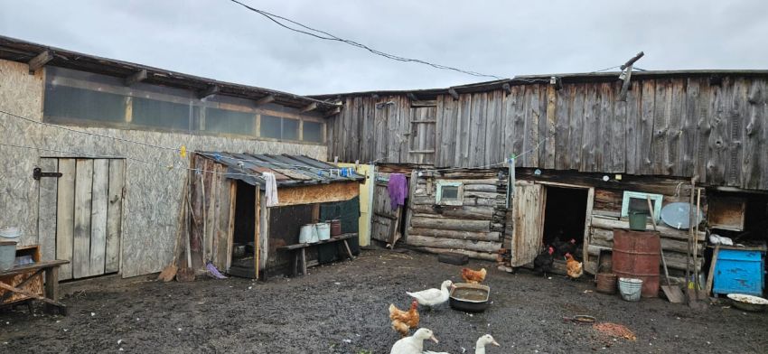 Продажа дома, 40м <sup>2</sup>, 29 сот., Зырянка