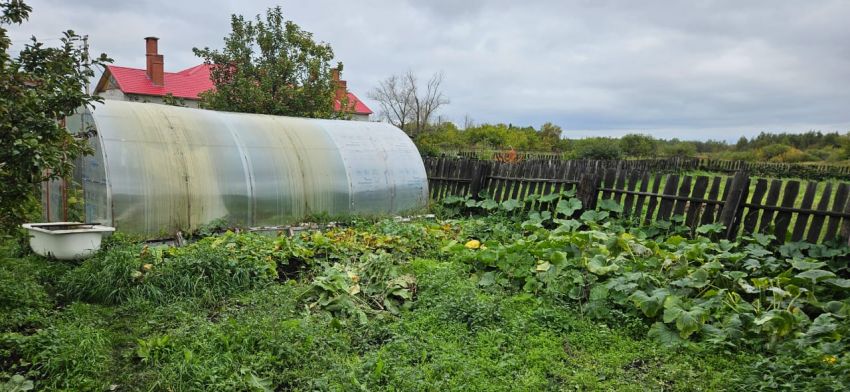 Продажа дома, 40м <sup>2</sup>, 29 сот., Зырянка