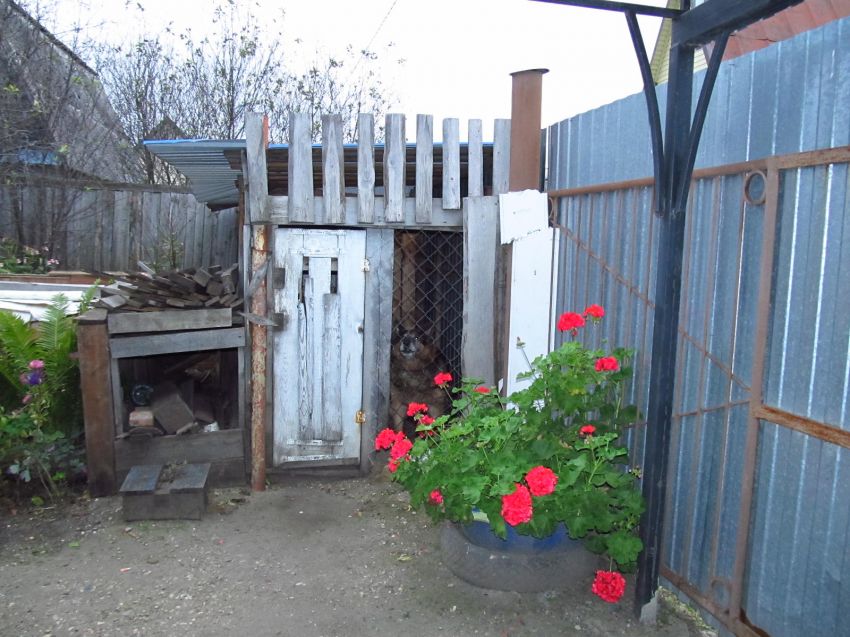 Продажа дома, 80м <sup>2</sup>, 5 сот., Курган, СНТ Авиатор