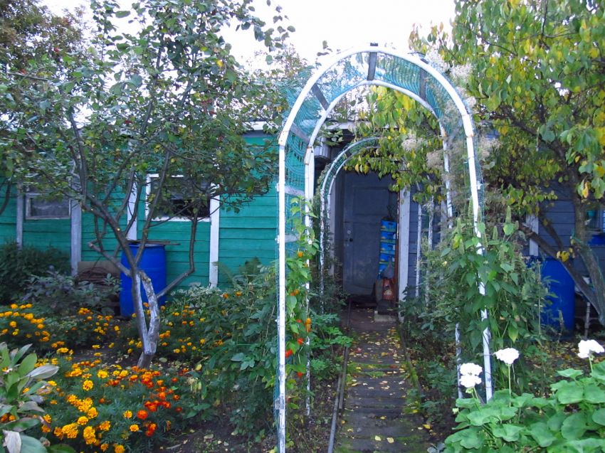 Продажа дома, 80м <sup>2</sup>, 5 сот., Курган, СНТ Авиатор