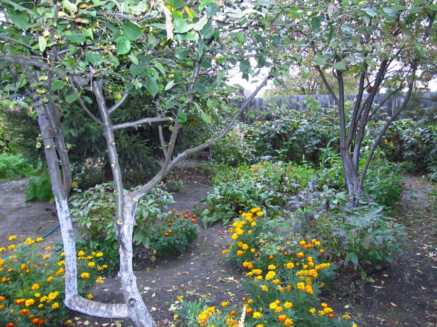 Продажа дома, 80м <sup>2</sup>, 5 сот., Курган, СНТ Авиатор