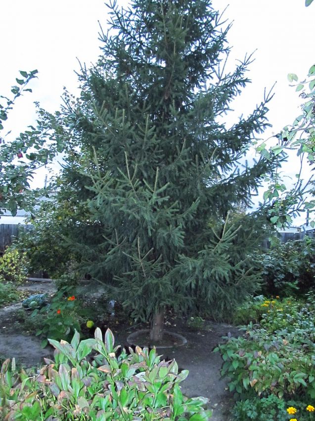 Продажа дома, 80м <sup>2</sup>, 5 сот., Курган, СНТ Авиатор