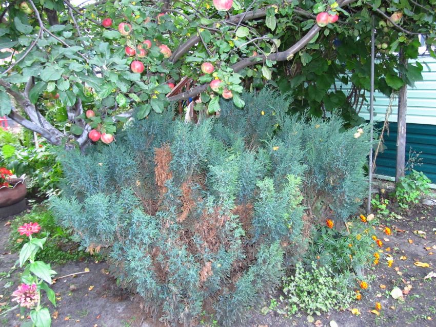 Продажа дома, 80м <sup>2</sup>, 5 сот., Курган, СНТ Авиатор