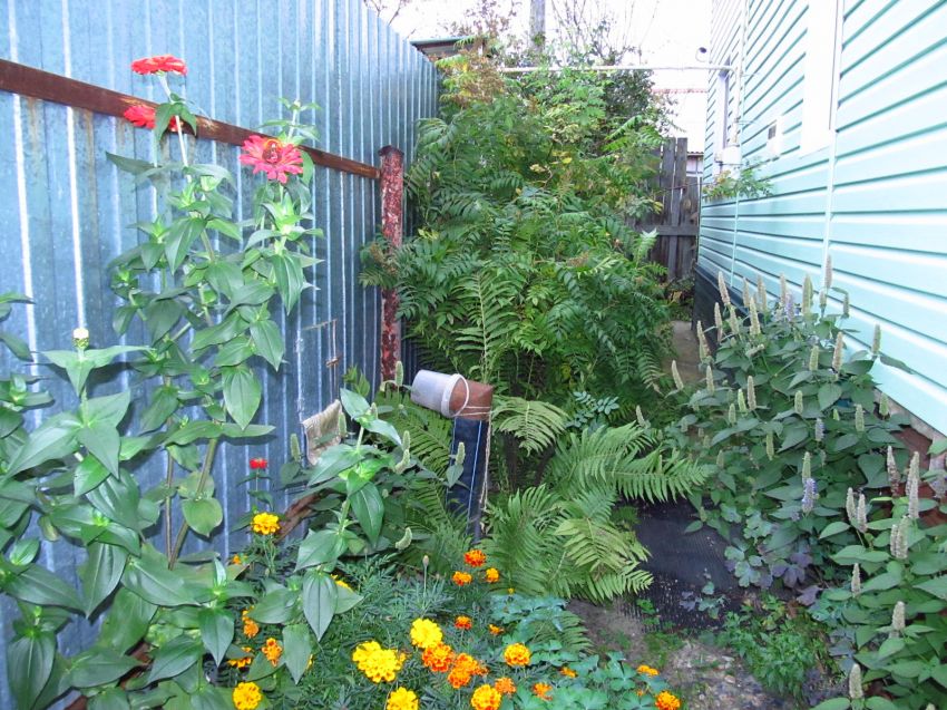 Продажа дома, 80м <sup>2</sup>, 5 сот., Курган, СНТ Авиатор