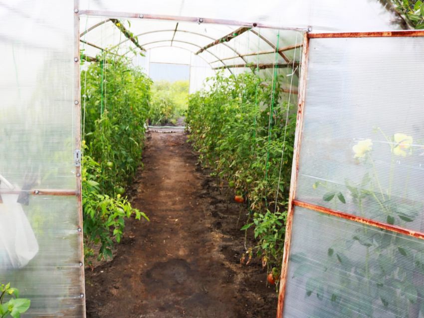 Продажа дома, 64м <sup>2</sup>, 10 сот., Курган, СНТ Дорожник