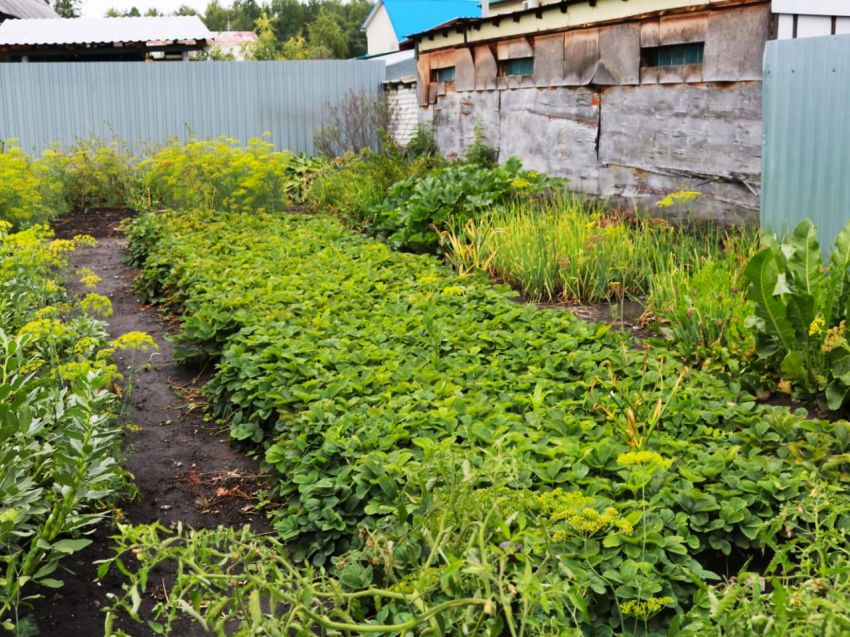 Продажа дома, 64м <sup>2</sup>, 10 сот., Курган, СНТ Дорожник