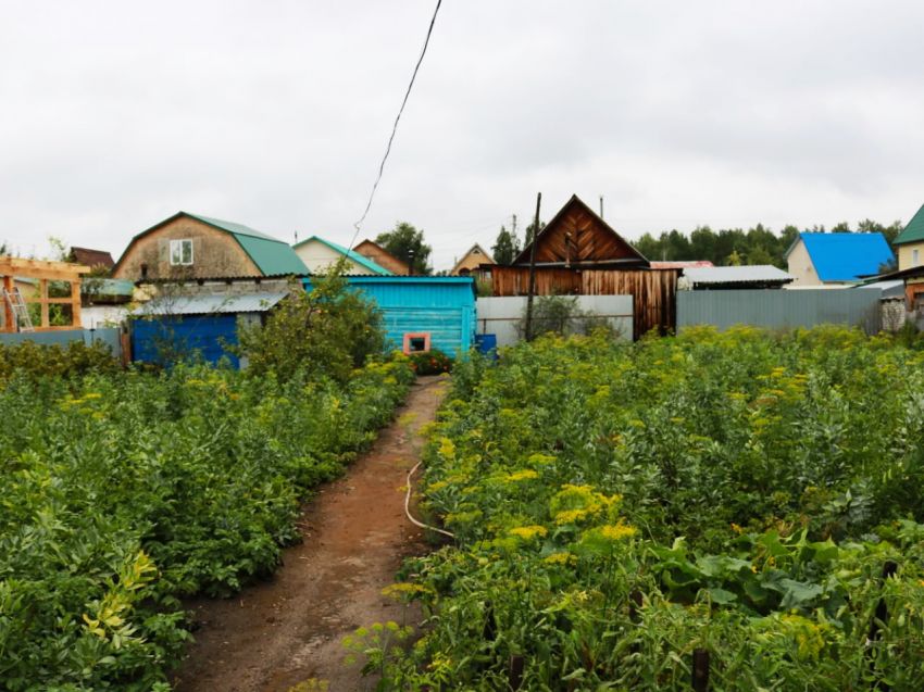 Продажа дома, 64м <sup>2</sup>, 10 сот., Курган, СНТ Дорожник