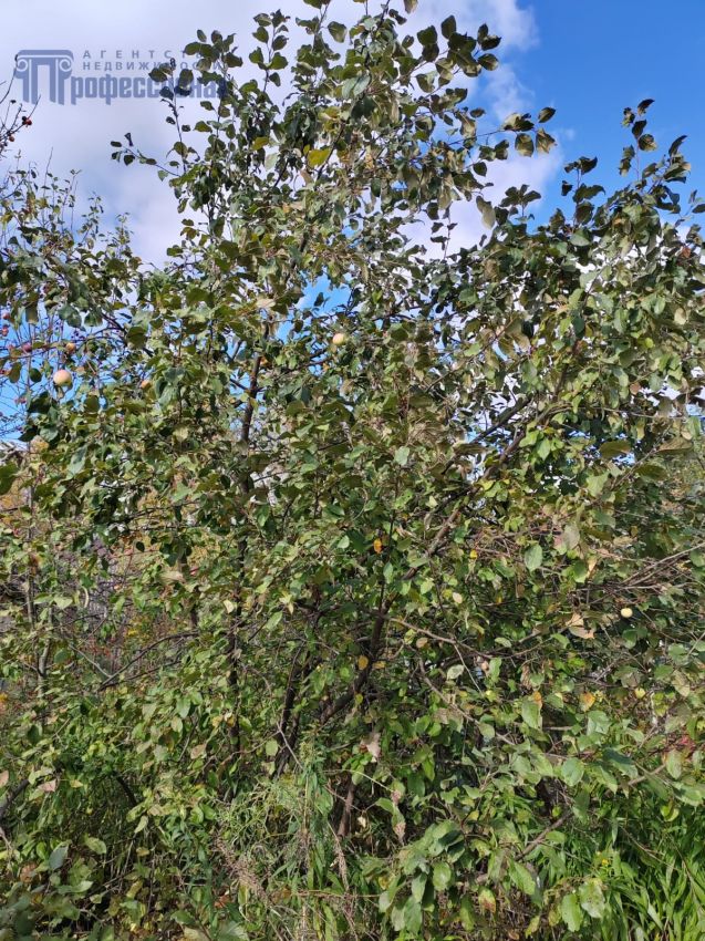 Продажа дома, 98м <sup>2</sup>, 9 сот., Лесниково