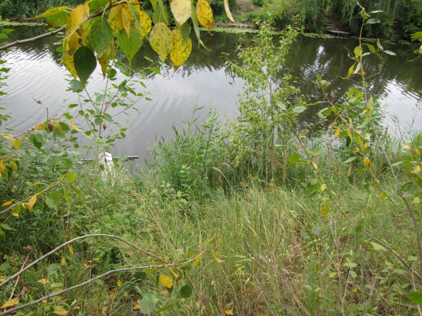 Продажа дома, 130м <sup>2</sup>, 6 сот., Курган, Московская улица