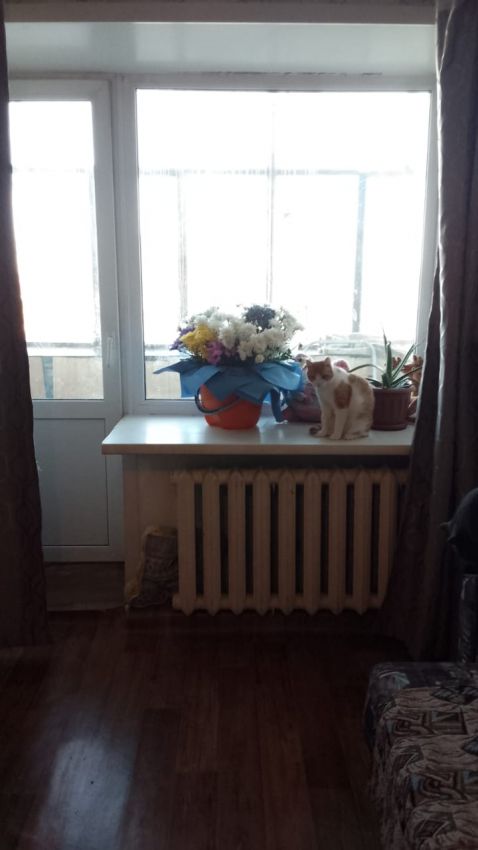 Продажа 1-комнатной квартиры, Курган, Половинская улица,  6