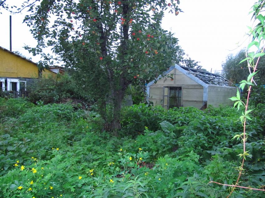 Продажа дома, 42м <sup>2</sup>, 7 сот., Курган, СНТ Промжелезобетон