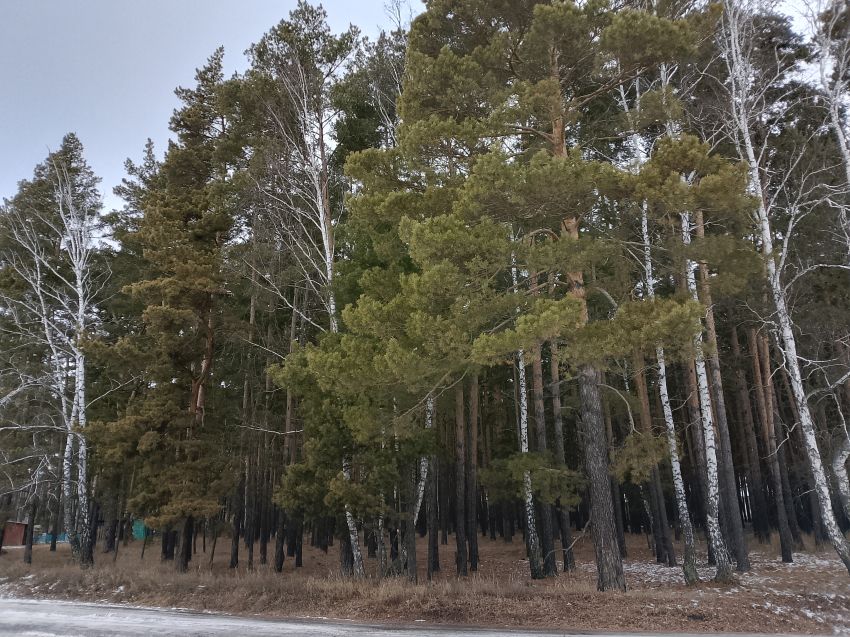 Продажа дома, 86м <sup>2</sup>, 10 сот., Колташево, Медовая улица