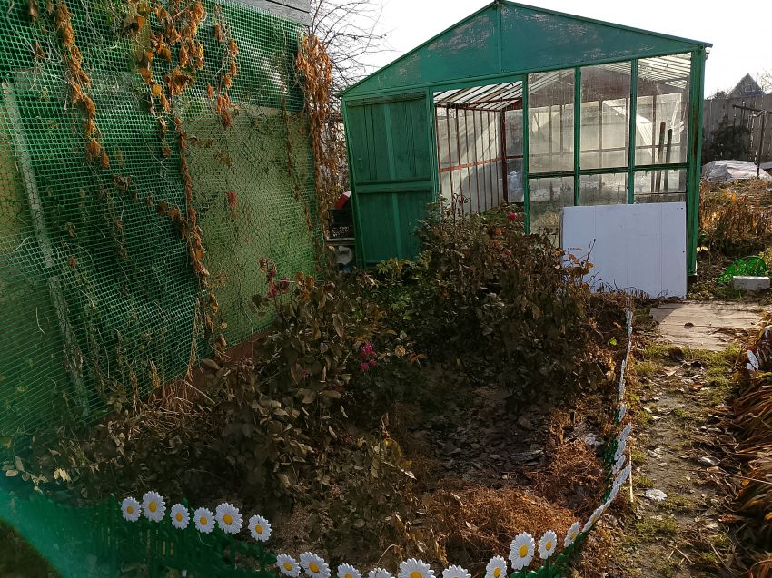 Продажа дома, 54м <sup>2</sup>, 779 сот., Курган, Свободы улица